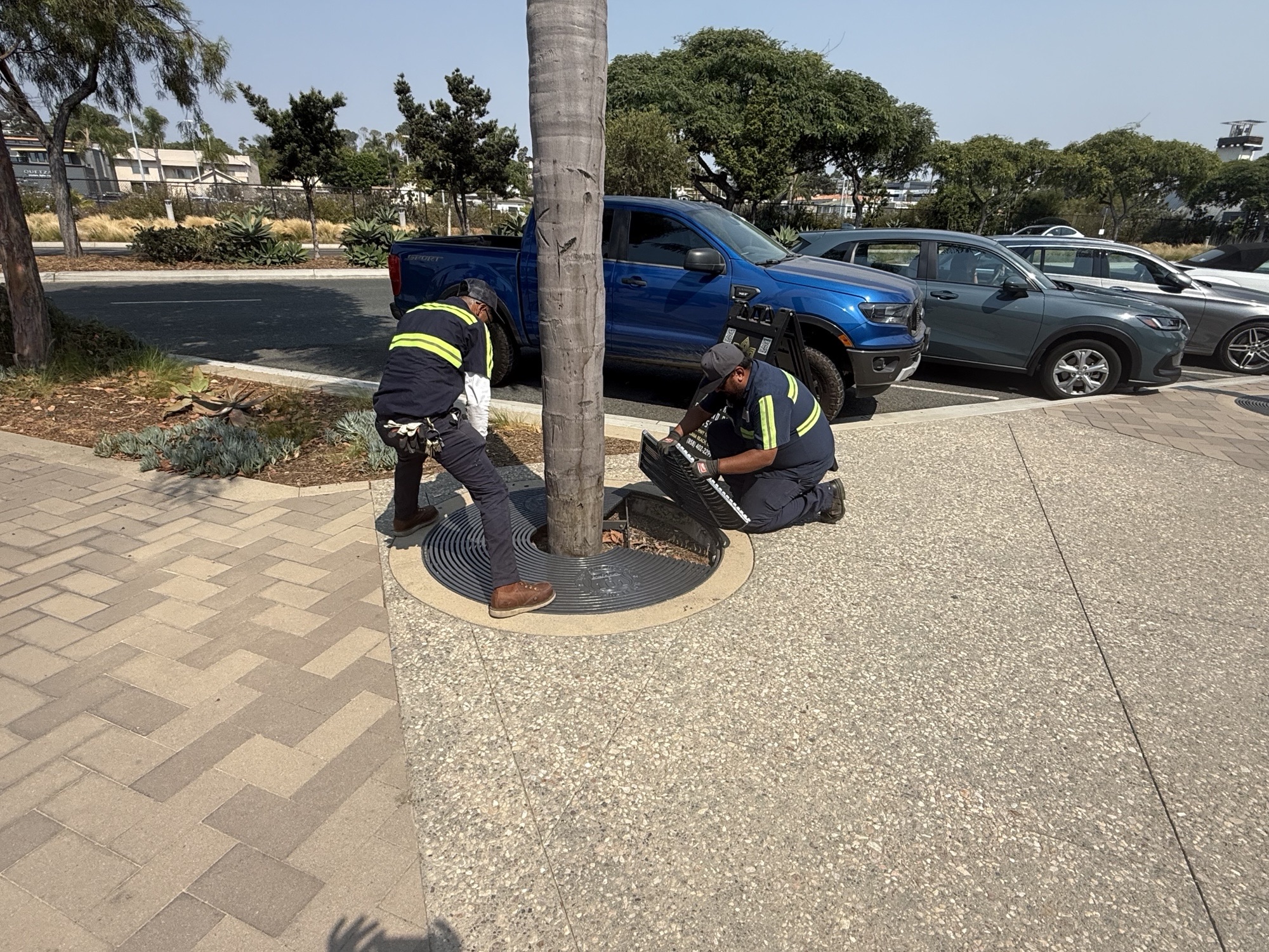 ​​​​​​Tree Grate Replacement Project Underway on Highway 101