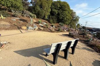 El Viento Bench