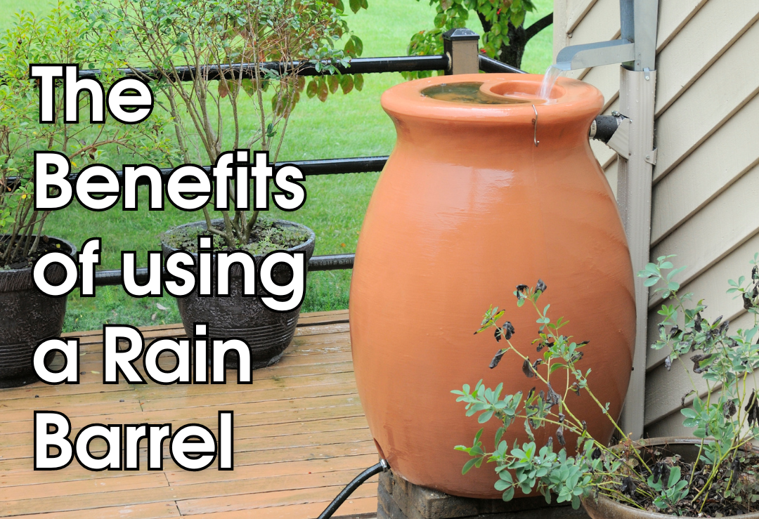 Save Water & Save Money with Rain Barrels