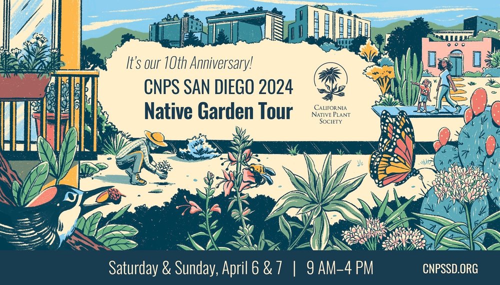 Six Solana Beach Home Gardens Featured in the California Native Plant Society Garden Tour 
