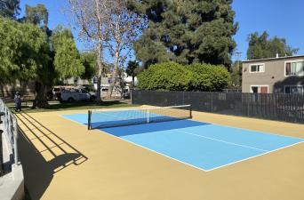 La Colonia Park Pickleball Court Now Open!