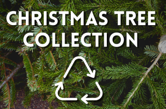 Christmas Tree Recycling &  ﻿Holiday Recycling Tips
