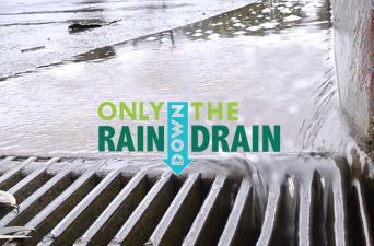 Only Rain Down the Storm Drain!