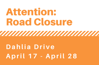 Temporary Road Closure on Dahlia Drive 