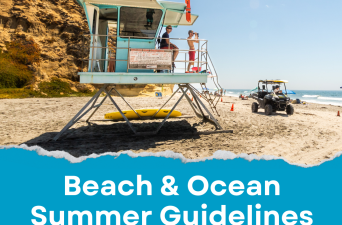 Summer Beach & Ocean Safety Guidelines