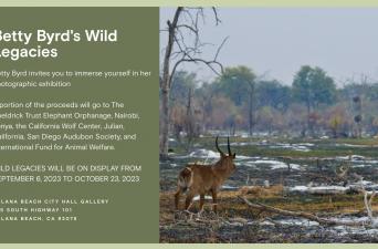 "Wild Legacies" Opening Reception