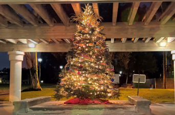 La Colonia Holiday Tree Lighting