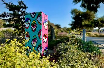 Utility Box Artwork Installations