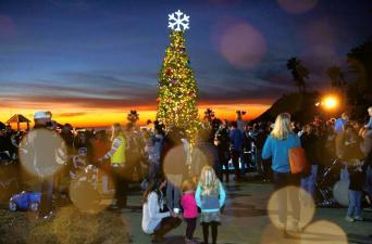 Fletcher Cove Holiday Tree Lighting