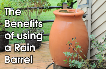 Save Water & Save Money with Rain Barrels